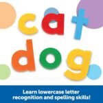 Learning Resources Jumbo Magnetic Lowercase Letters - (Set of 40 | Ages 3+) - TheSteploBoards